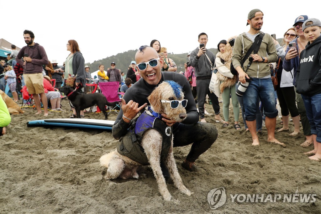 USA WORLD DOG SURFING CHAMPIONSHIPS