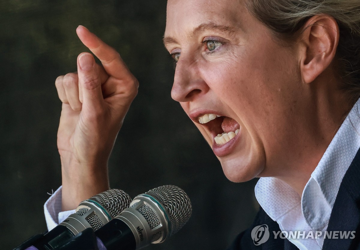 알리스 바이델 AfD 공동대표