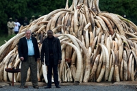 케냐 고인류학자·코끼리 보호자 리처드 리키 박사 사망