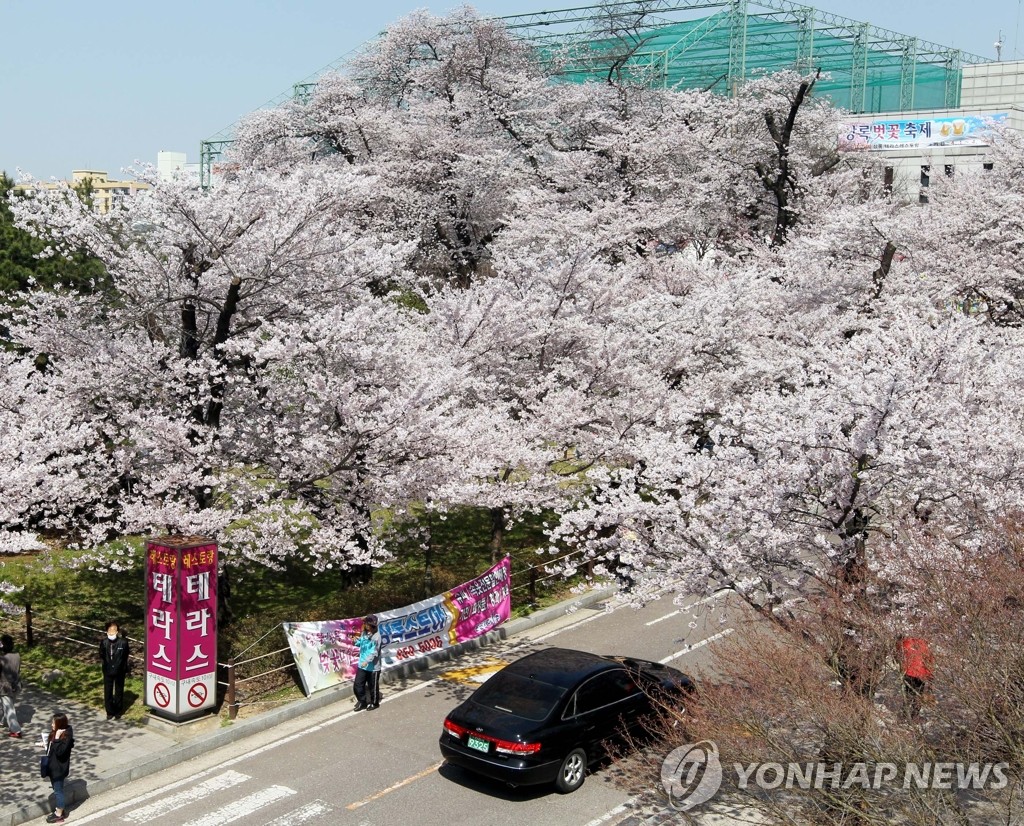상록회관 부지 넘어가는데…광주시는 뒷북행정 | 연합뉴스