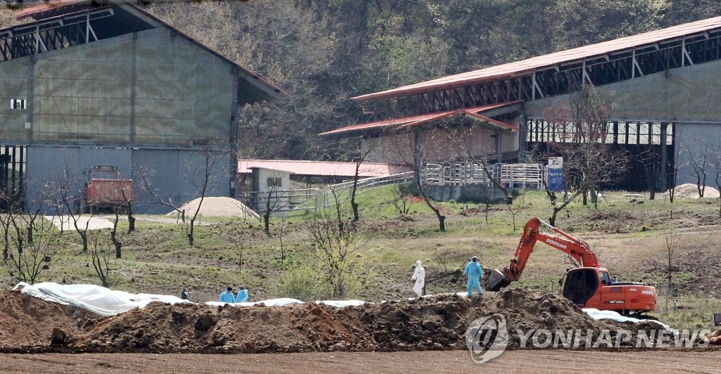 <천안 국립축산개발부도 구제역 비상> | 연합뉴스