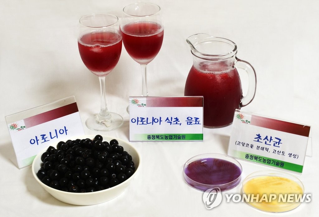 '왕의 열매' 아로니아 