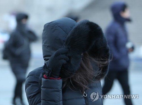 最強寒波が襲来 ソウルの朝は氷点下１５ ６度 聯合ニュース