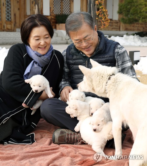 Avec les chiots de Gomi