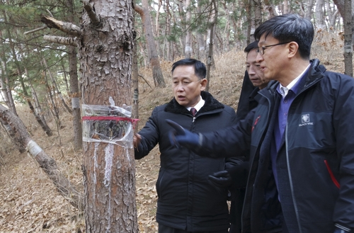 Cooperación forestal intercoreana