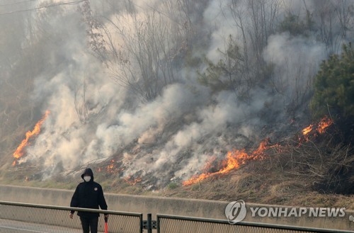 "잡풀태우다 축구장 483개 태워" 인제산불 실화자 고령의 주민