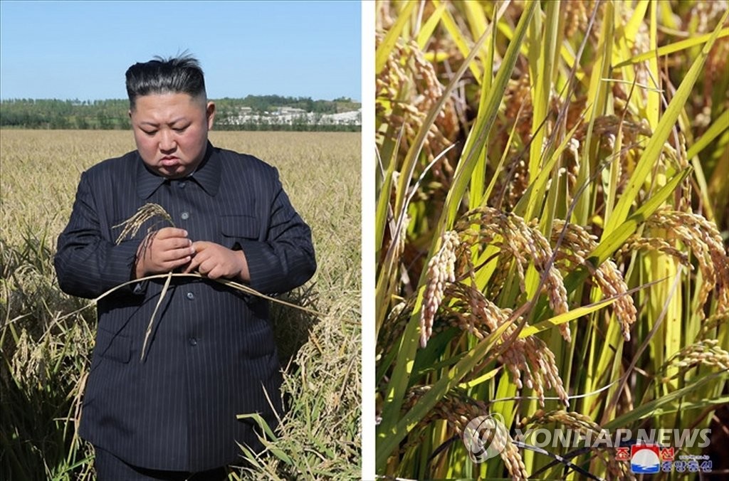 군 농장 현지지도 나선 북한 김정은