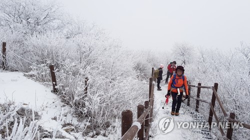 '겨울이 좋아'…스키장·관광지·축제장 나들이객 북적