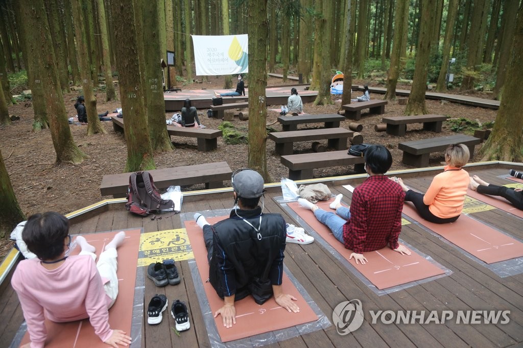 제주 숲속에서 즐기는 요가