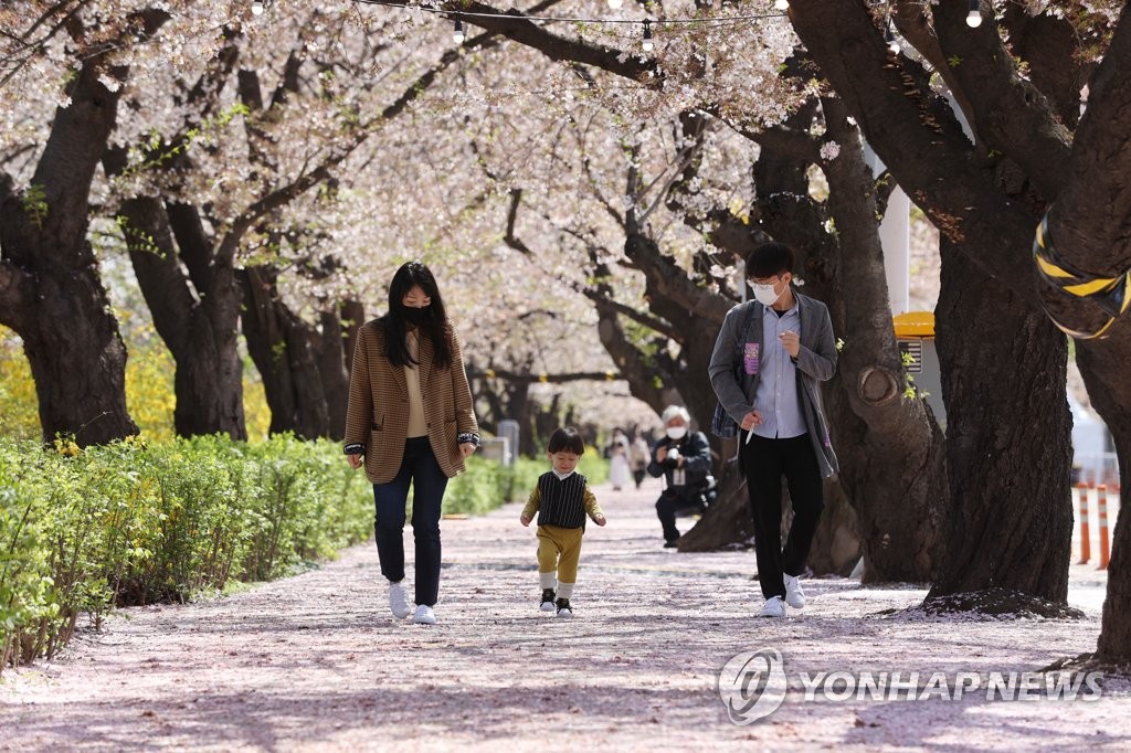 This April 5, 2021, file photo shows a family walking along a cherry blossom street in Seoul's southern district of Yeouido. (Yonhap)