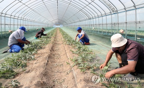 이천시, 내년 상반기 외국인 계절근로자 140명 배정