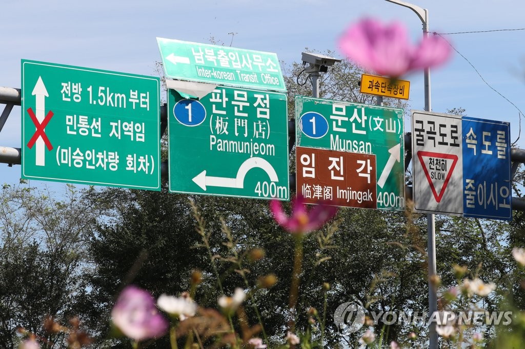 Des cosmos sont en pleine floraison au bord d'une route reliant le village de la trêve de Panmunjom à Paju, dans la province du Gyeonggi, le dimanche 26 septembre 2021. 