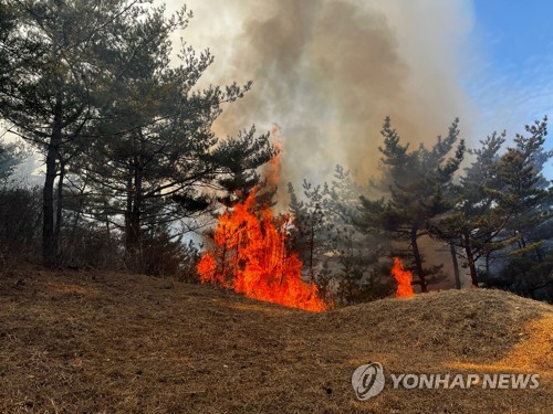 경북 영덕 야산에 불…임야 3㏊ 피해