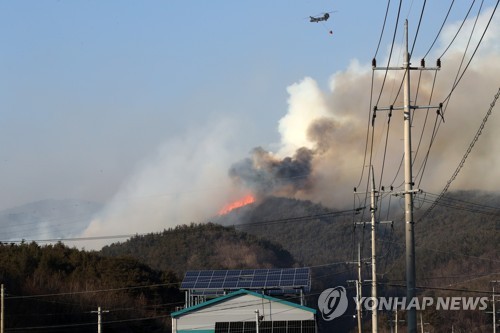 韓国 の 山 火事