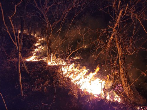 부산 아홉산 하루 만에 다시 화재…강풍에 진화 어려움