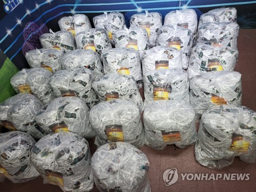 韓国統一部　憲法裁の「対北ビラ禁止法は違憲」判断を歓迎