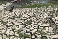  저수지도 수도꼭지도 말랐다…멕시코 강타한 가뭄