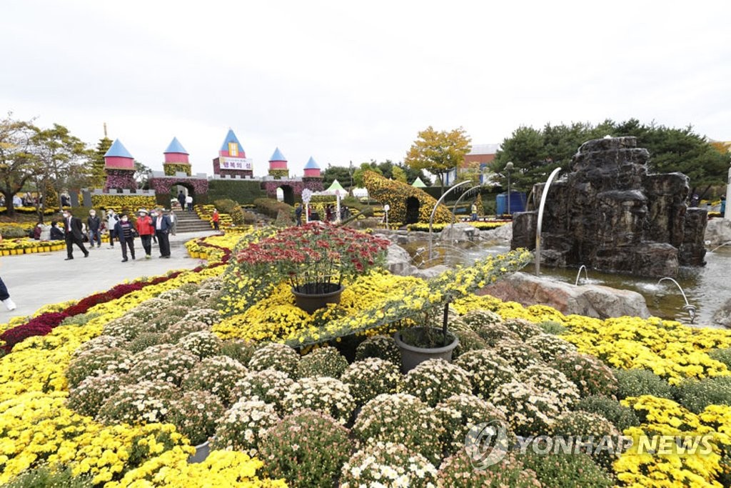 Chrysanthemum festival | Yonhap News Agency
