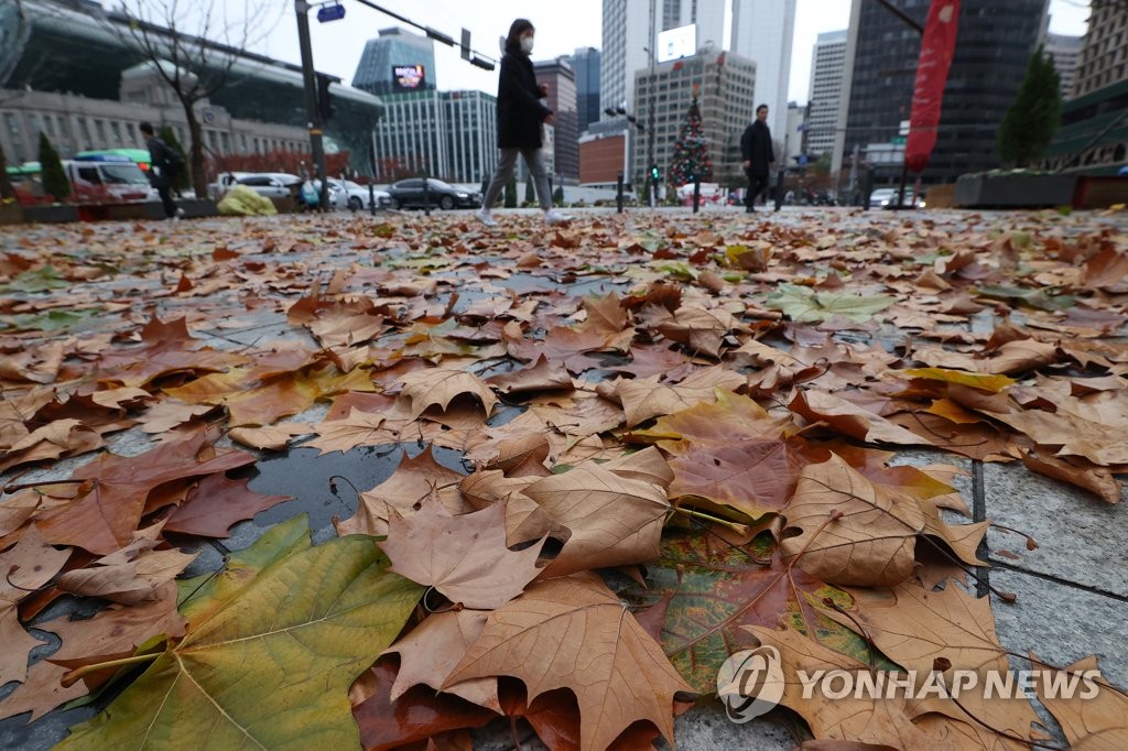 비 온 뒤 멀어지는 가을