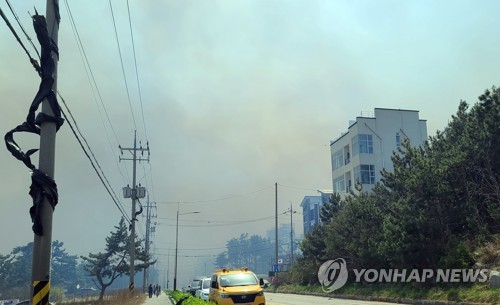 [강릉산불] 강풍·산불에 동해안 11개 학교 '휴업 또는 단축수업'