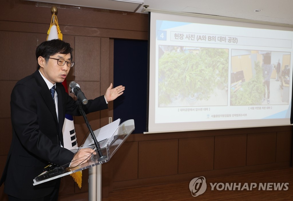 서울중앙지검 대마 전문 재배·생산시설 적발 브리핑