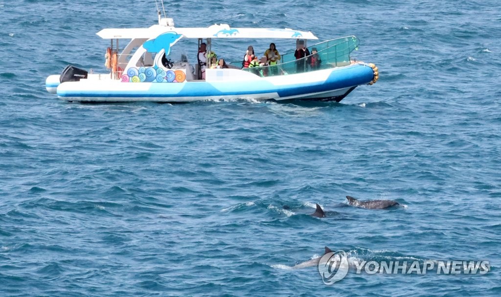 남방큰돌고래 관광