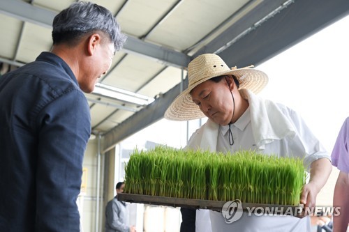 Yoon takes part in rice planting