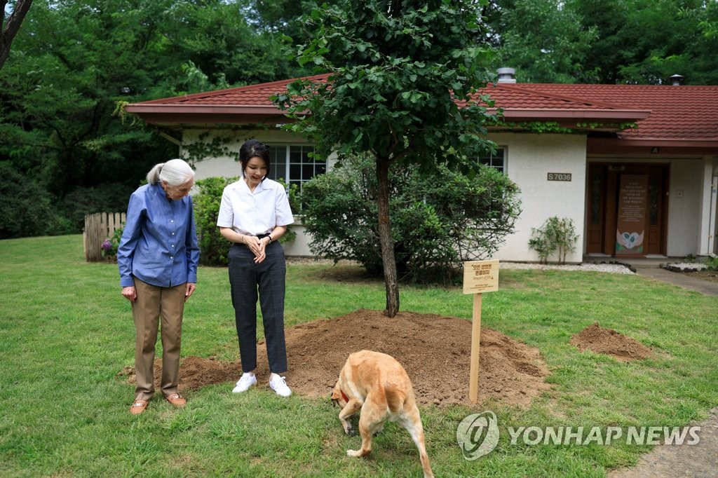 새롬이 바라보는 김건희 여사와 제인 구달 박사 | 연합뉴스