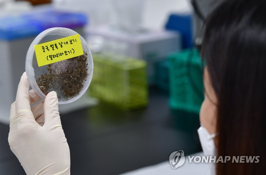 كوريا الجنوبية تسجل أكثر من 600 حالة إصابة بالملاريا هذا العام - 1