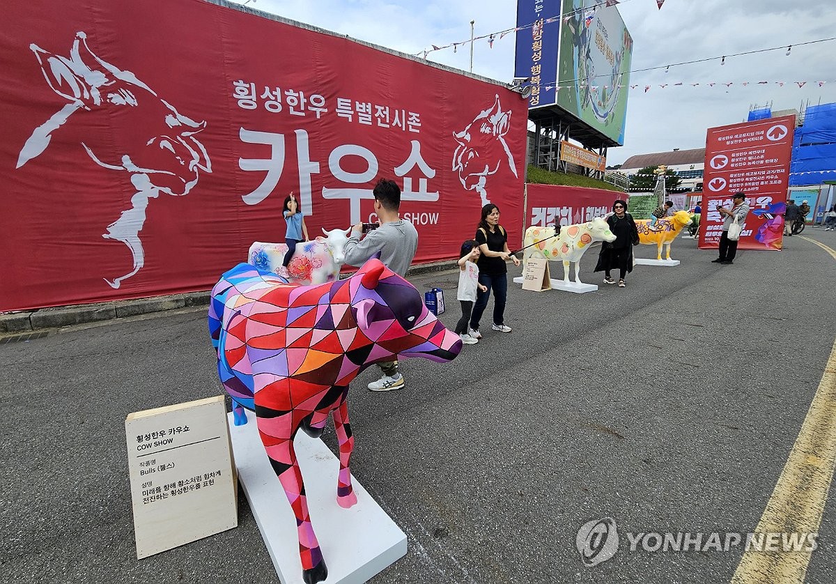 지난해 횡성한우축제 특별전시전 카우쇼  / 연합뉴스