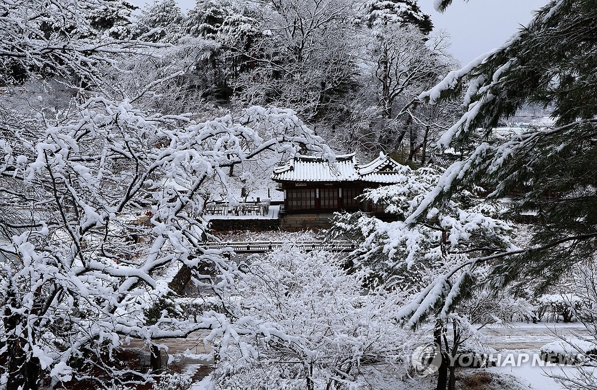 Snow day in Gangneung | Yonhap News Agency