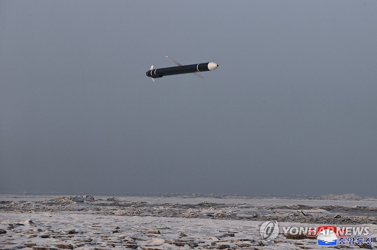 hwasal strategic cruise missile