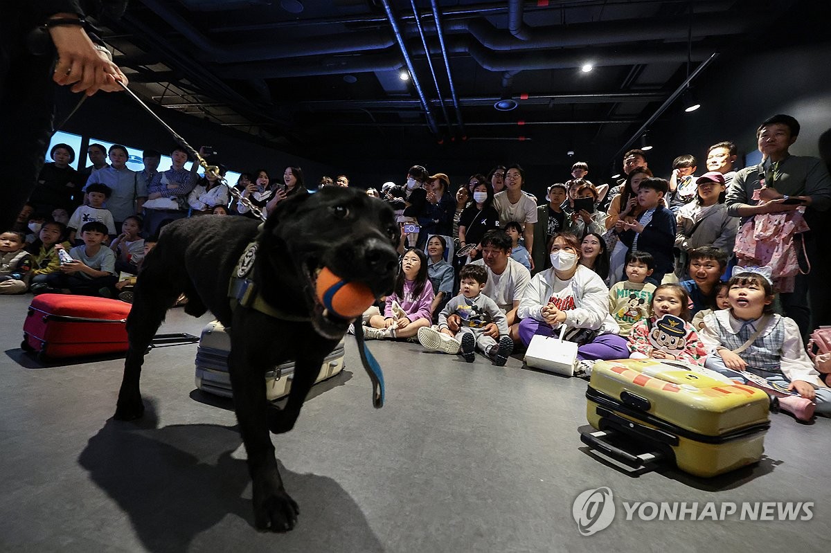 경찰탐지견 보고 순찰차도 타고…경찰박물관 어린이날 행사