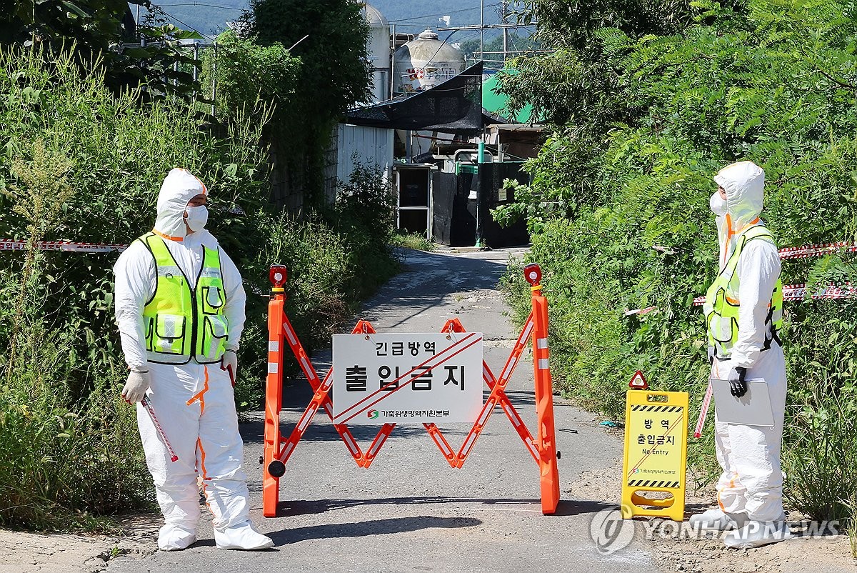 지난달 31일 오전 아프리카돼지열병(ASF)이 발생한 경기 김포시의 한 양돈농장에서 방역 당국 관계자들이 농장 입구를 통제하고 있다. [연합뉴스 자료사진]