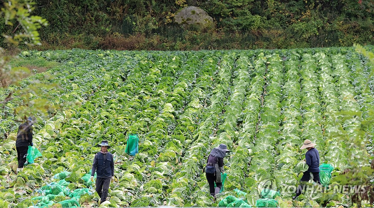 aT사장 "기후변화 대응전략 필요…식량안보 차원서 접근…