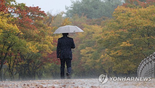 강원 밤사이 150㎜ 비에 도로·주택 잠겨…최대 60㎜ 더 내려