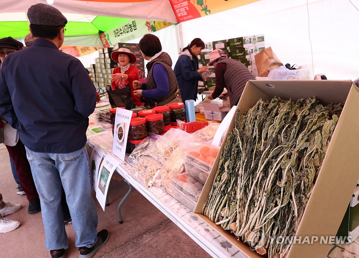 청춘양구 펀치볼 시래기사과축제