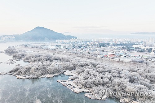 반짝 아침 추위에 수줍게 피어난 소양강 상고대