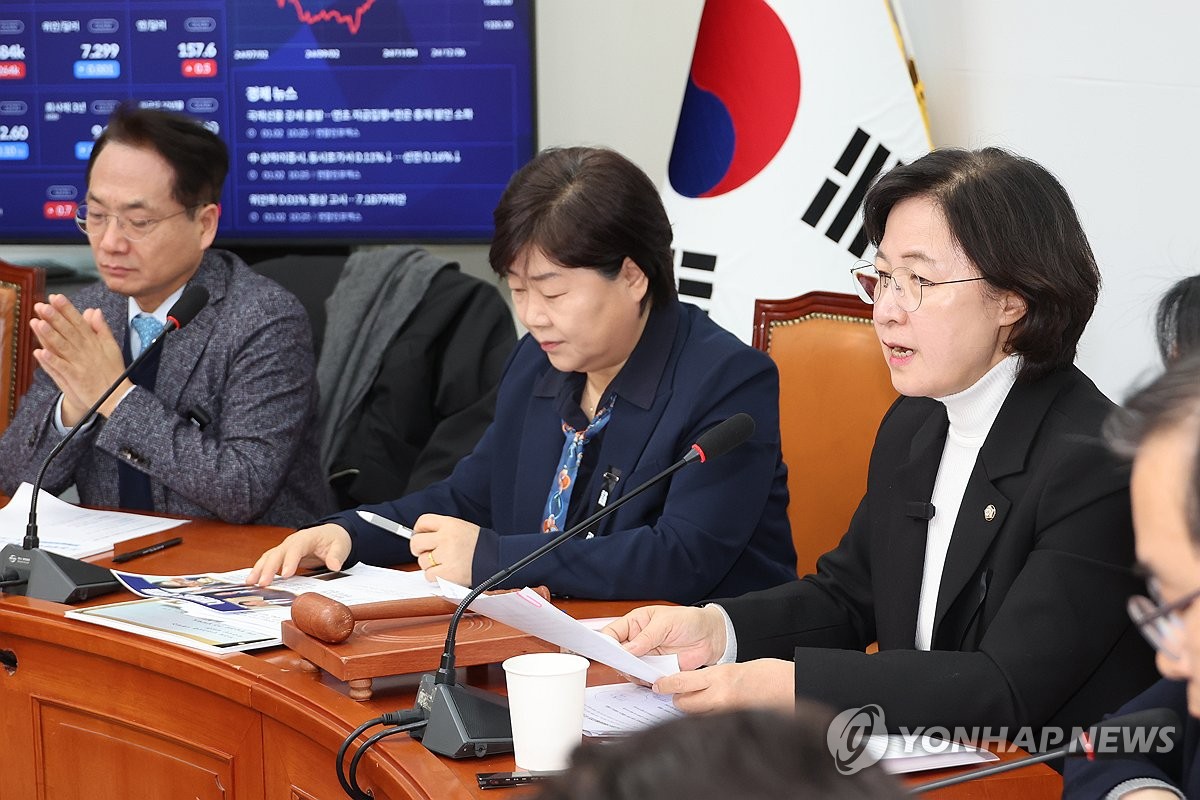 민주당 내란진상조사단 회의