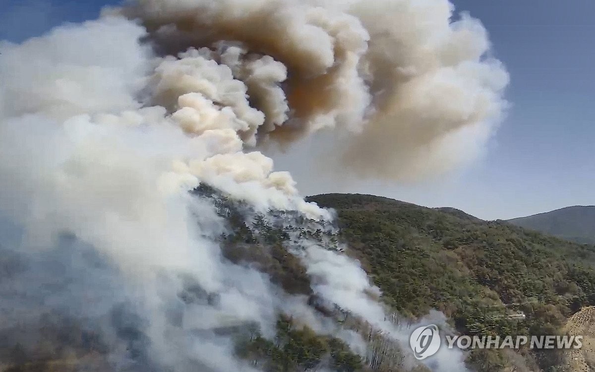韓国南部で山火事