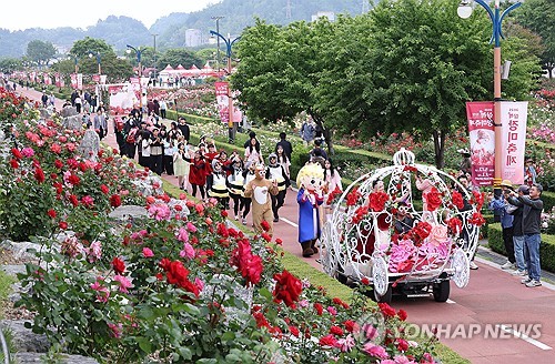 '천만 송이 활짝' 삼척장미축제 성료…동해안 대표 꽃축제 입증