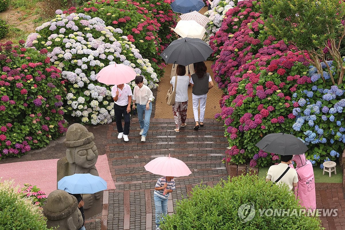 제주 흐리고 비…산지 100㎜ 이상