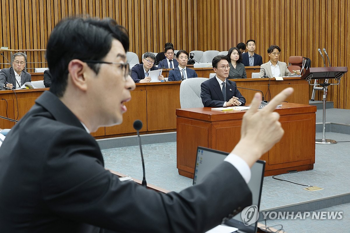 국힘, 