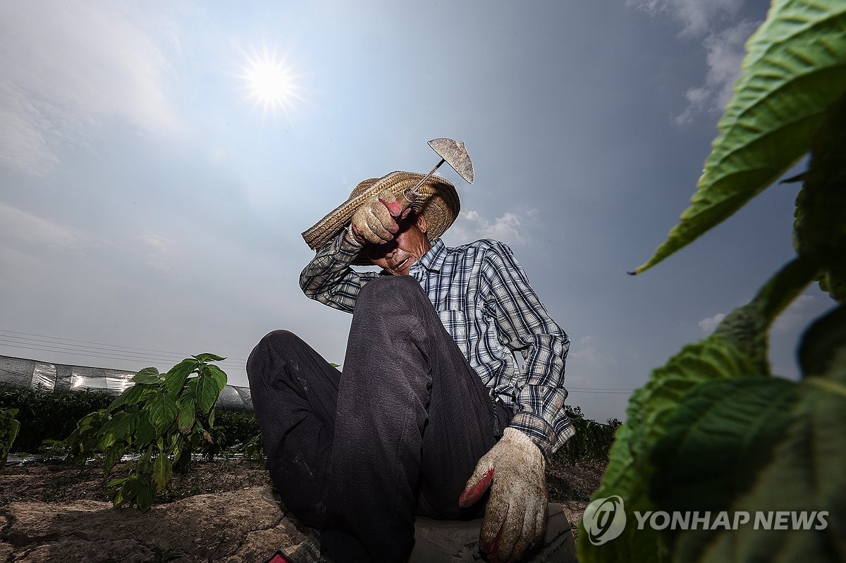 전북 6개 시·군 "올여름 최고기온"…정읍 37.8도