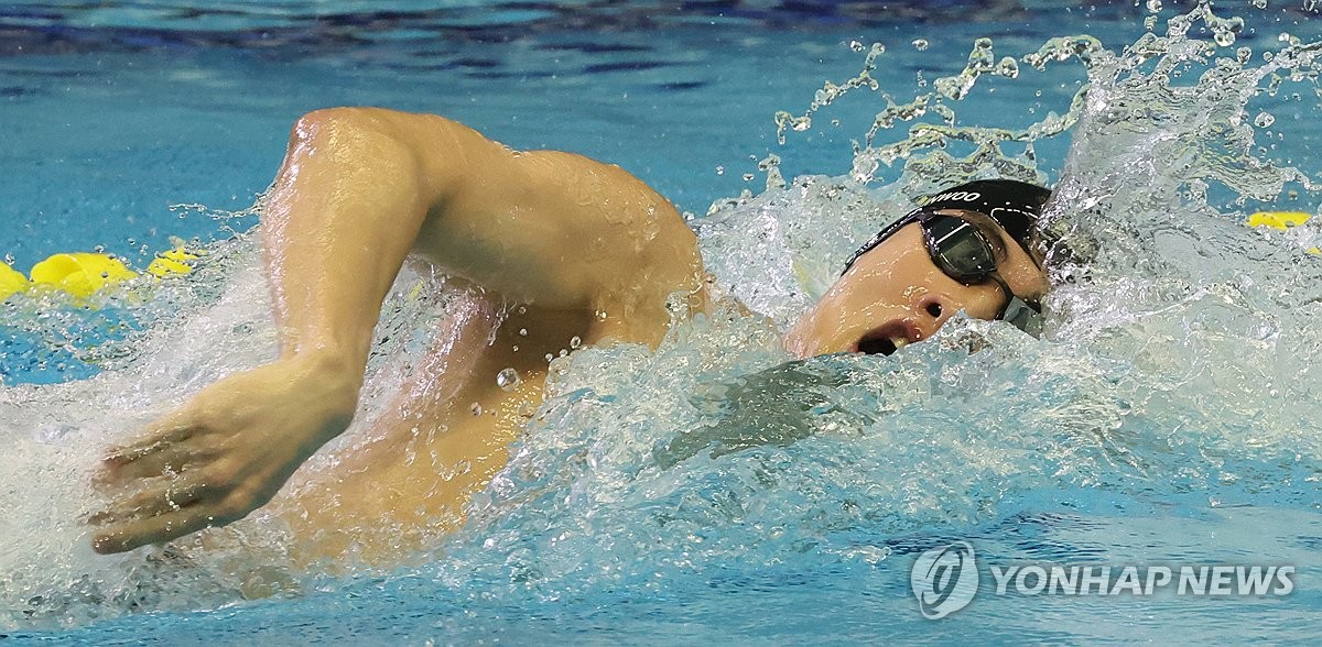 전국체전 역영하는 황선우