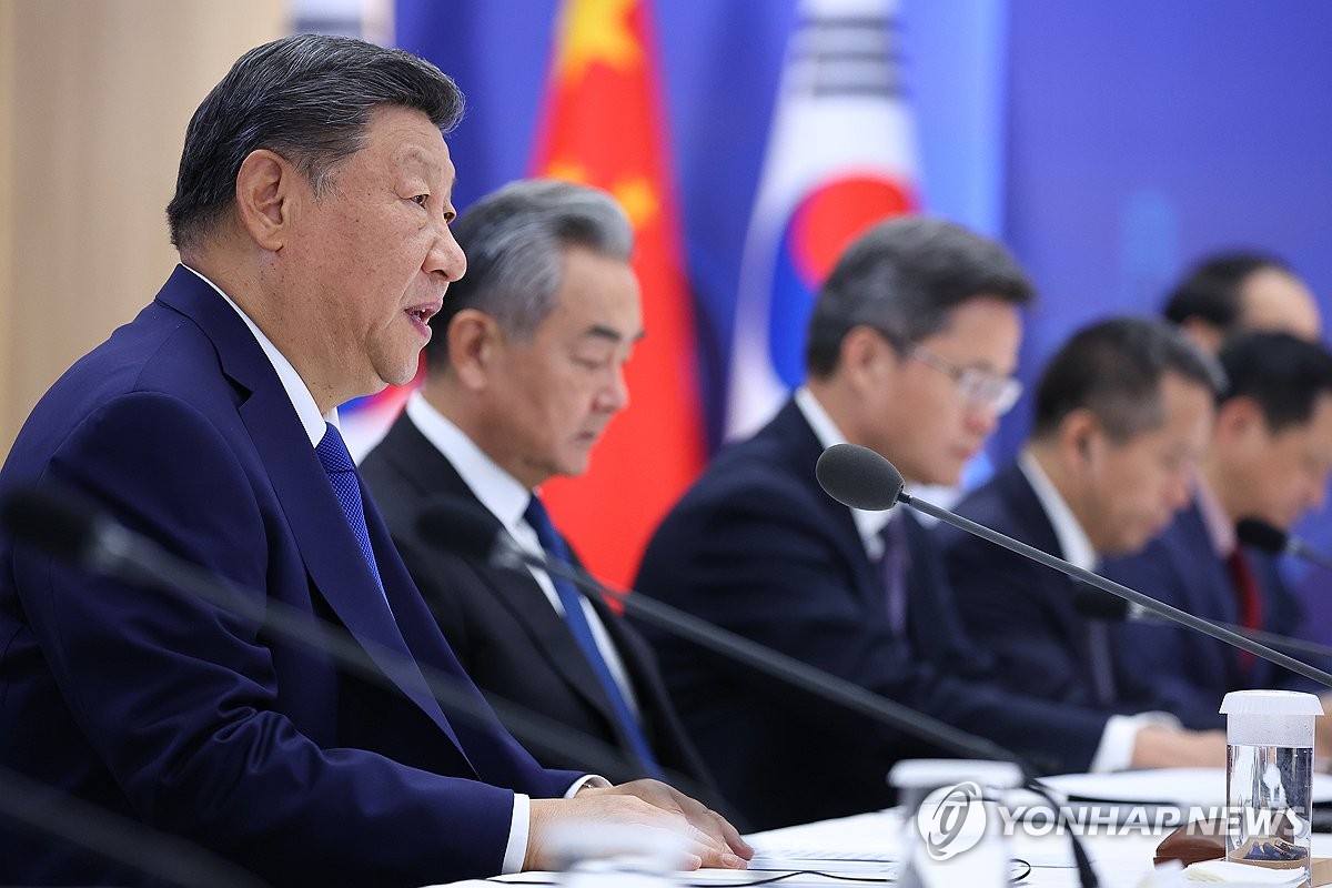 한중 정상회담, 발언하는 시진핑 중국 국가주석