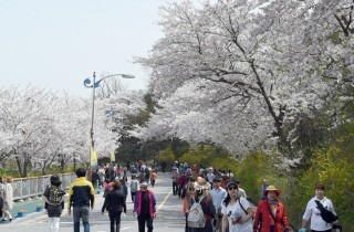 목포 유달산 봄 축제 4월 6일 열린다