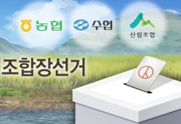 전국 조합장 선거 투표율 80.7%…당선자 1천344명 확정